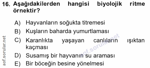 Soru 16