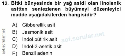 Soru 12
