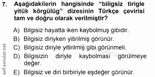 Soru 7