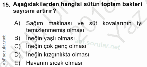 Soru 15