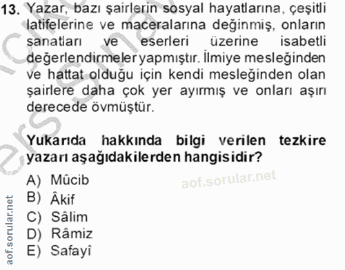 Soru 13