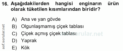 Soru 16