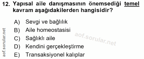 Soru 12
