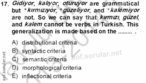 Soru 17