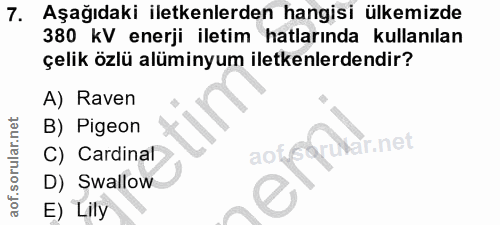 Soru 7