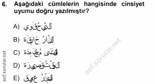 Soru 6