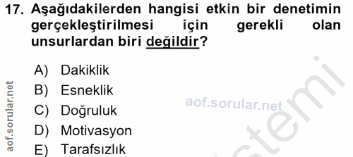 Soru 17