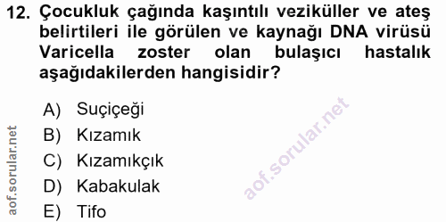 Soru 12