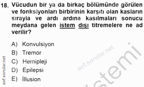 Soru 18