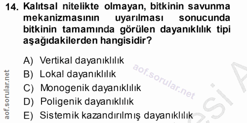 Soru 14