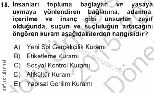 Soru 18