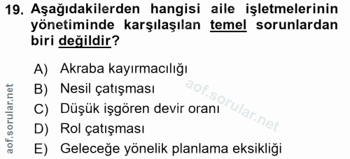 Soru 19