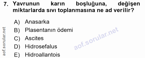 Soru 7