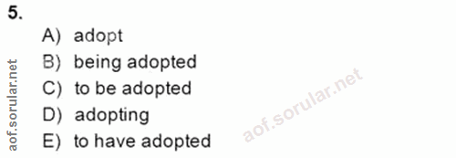 Soru 5