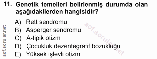 Soru 11