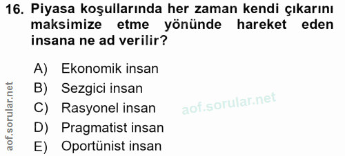Soru 16