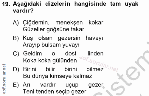 Soru 19