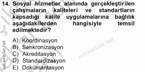 Soru 14