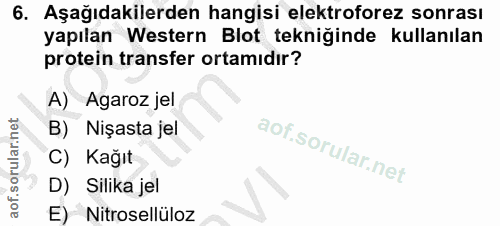 Soru 6