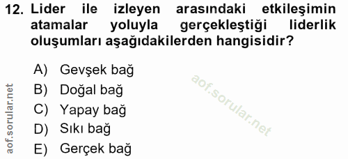 Soru 12