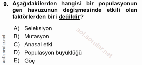 Soru 9
