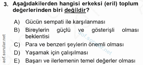 Soru 3