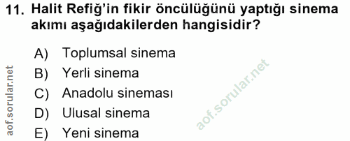 Soru 11