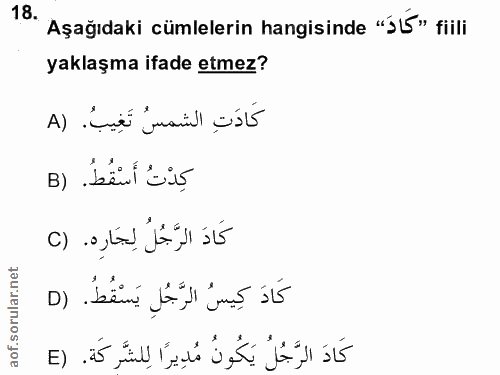 Soru 18
