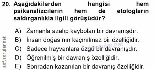 Soru 20