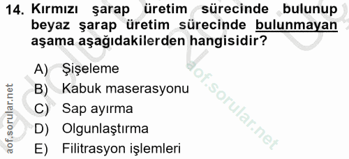 Soru 14