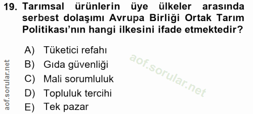 Soru 19