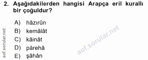 Soru 2