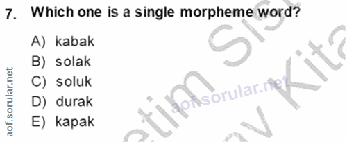 Soru 7
