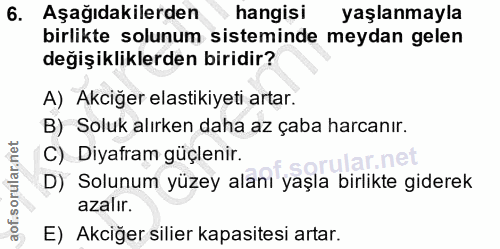 Soru 6