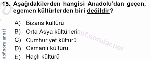 Soru 15