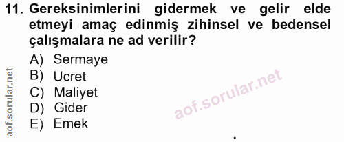 Soru 11