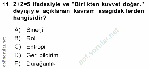 Soru 11