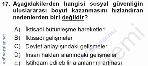 Soru 17