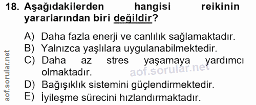 Soru 18