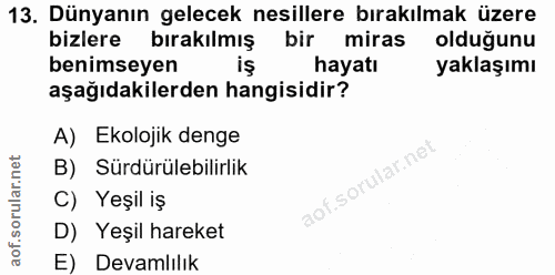 Soru 13