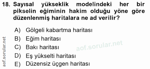 Soru 18