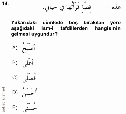 Soru 14