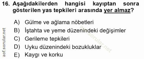 Soru 16