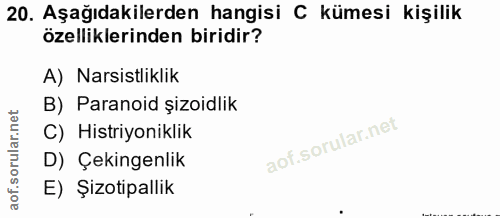 Soru 20