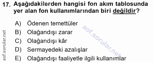 Soru 17