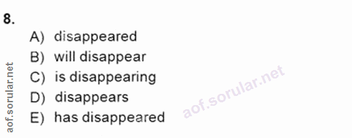 Soru 8