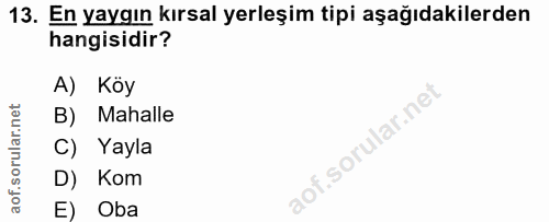 Soru 13