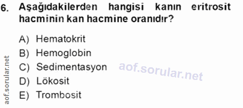 Soru 6