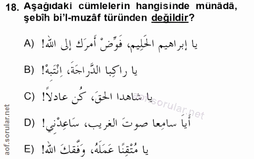 Soru 18