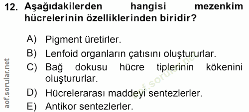 Soru 12